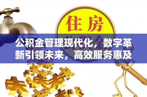 八宿公积金管理现代化，数字革新引领未来，高效服务惠及民生