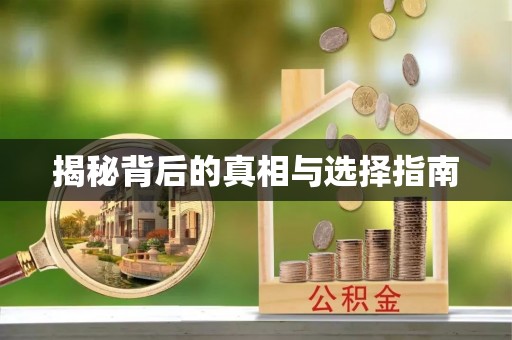八宿揭秘背后的真相与选择指南
