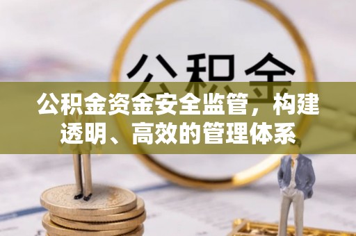 八宿公积金资金安全监管，构建透明、高效的管理体系