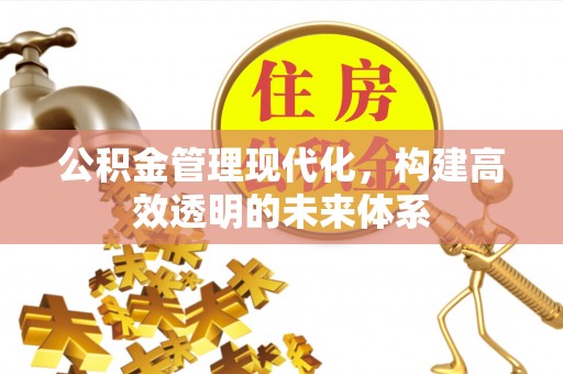 八宿公积金管理现代化，构建高效透明的未来体系