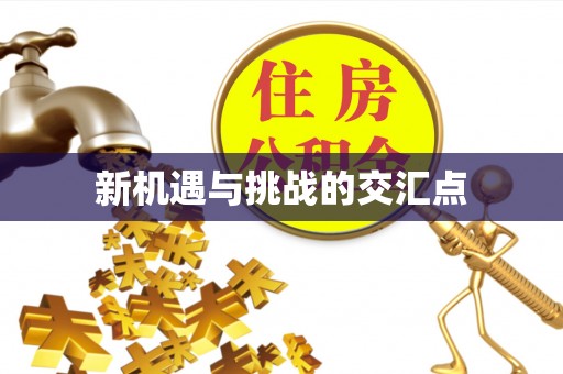 八宿新机遇与挑战的交汇点