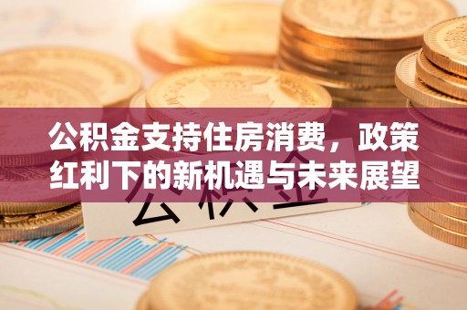 八宿公积金支持住房消费，政策红利下的新机遇与未来展望