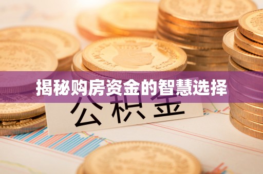 八宿揭秘购房资金的智慧选择