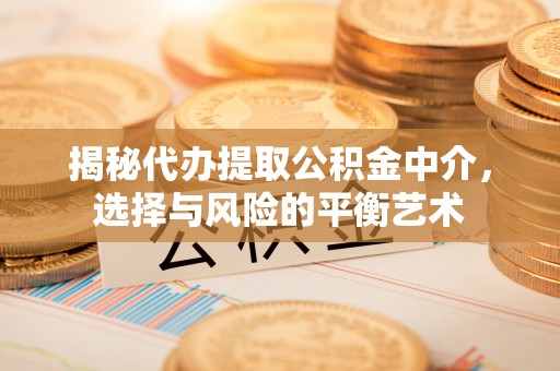 八宿揭秘代办提取公积金中介，选择与风险的平衡艺术