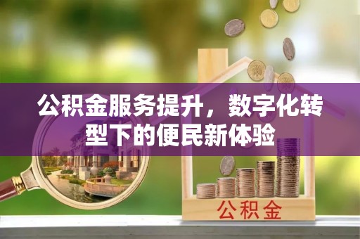 八宿公积金服务提升，数字化转型下的便民新体验