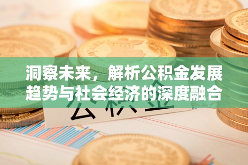 八宿洞察未来，解析公积金发展趋势与社会经济的深度融合