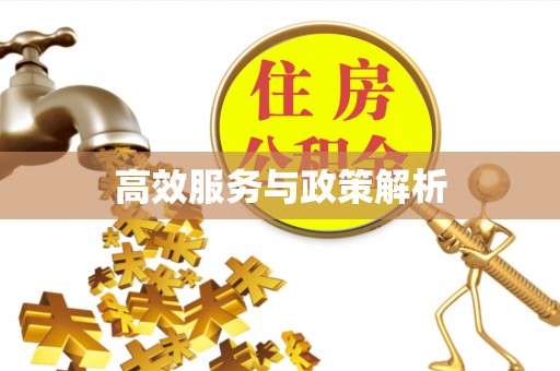八宿高效服务与政策解析