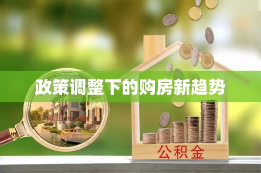 八宿政策调整下的购房新趋势