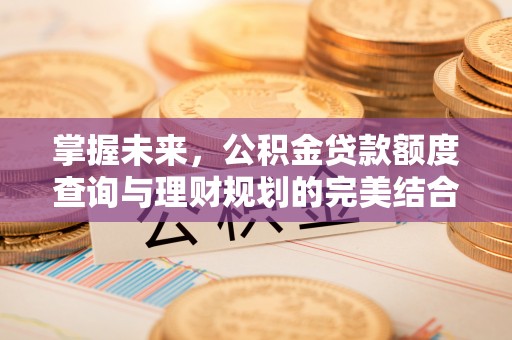 八宿掌握未来，公积金贷款额度查询与理财规划的完美结合