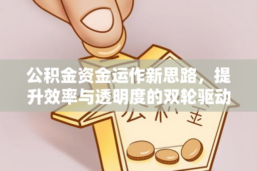 八宿公积金资金运作新思路，提升效率与透明度的双轮驱动