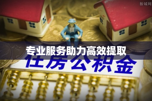 八宿专业服务助力高效提取