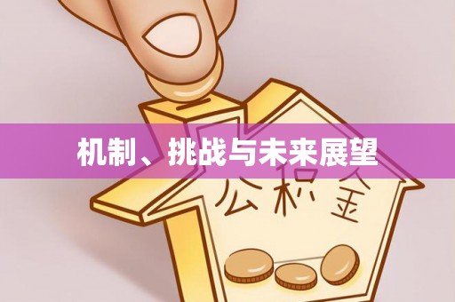 八宿机制、挑战与未来展望